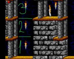Cheat codes for Prince of Persia (SNES)